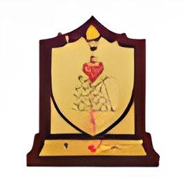 University Best NSS Unit